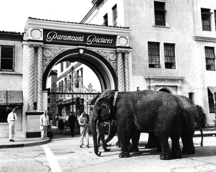 Paramount 1954 Elephants wm.jpg